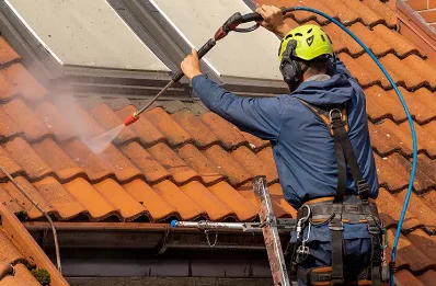 Démoussage et hydrofuge de toiture à Camélas
